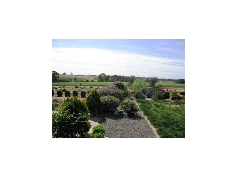 Lot 124 and 329 Jacka Road, Mintaro SA 5415