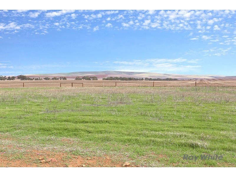 5155 Augusta Highway, Snowtown SA 5520