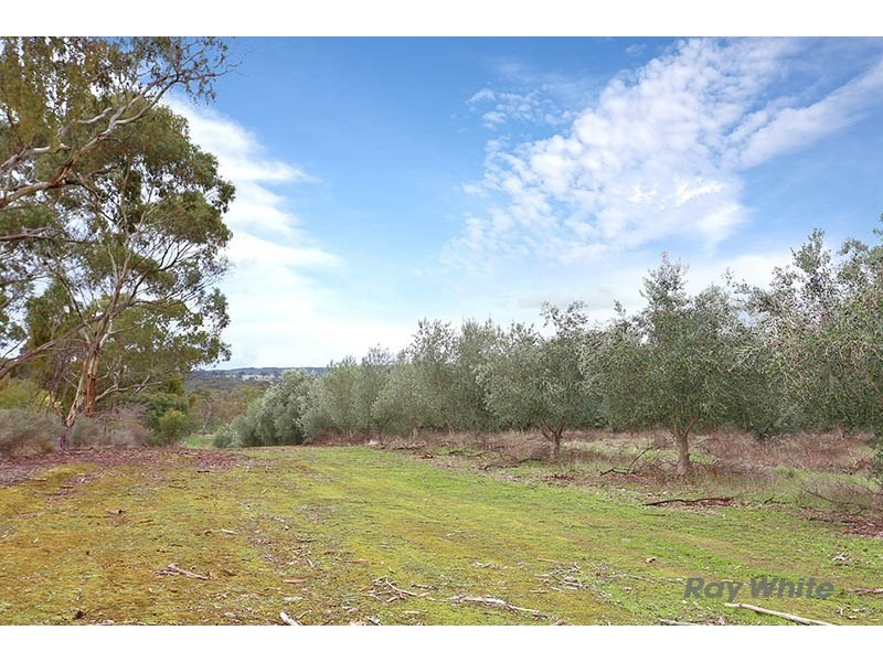 109 Spring Gully Road, Clare SA 5453