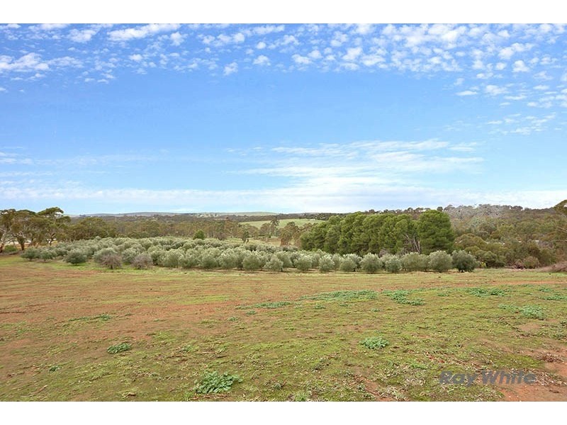 109 Spring Gully Road, Clare SA 5453