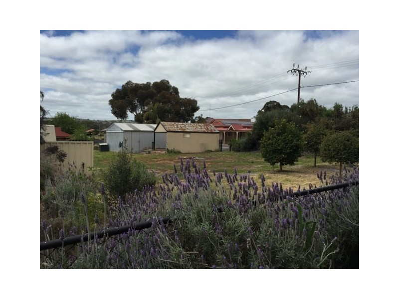 12 West Terrace, Clare SA 5453