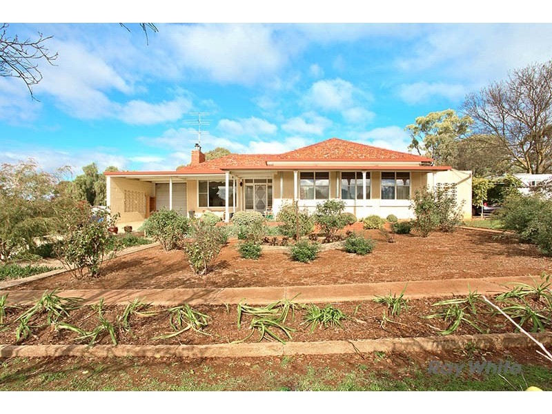 19 Henry Street, Auburn SA 5451