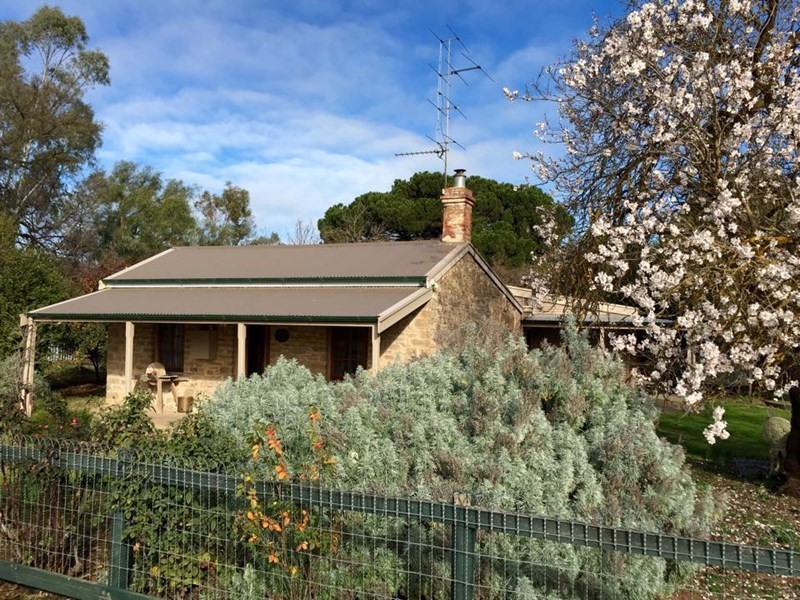 19 Archer Street, Auburn SA 5451