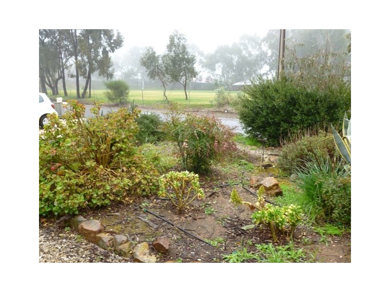 11 Arthur Street, Clare SA 5453