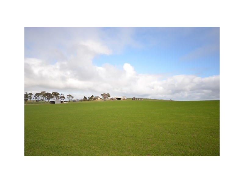 “Pfitzners” Range Road, Eudunda SA 5374
