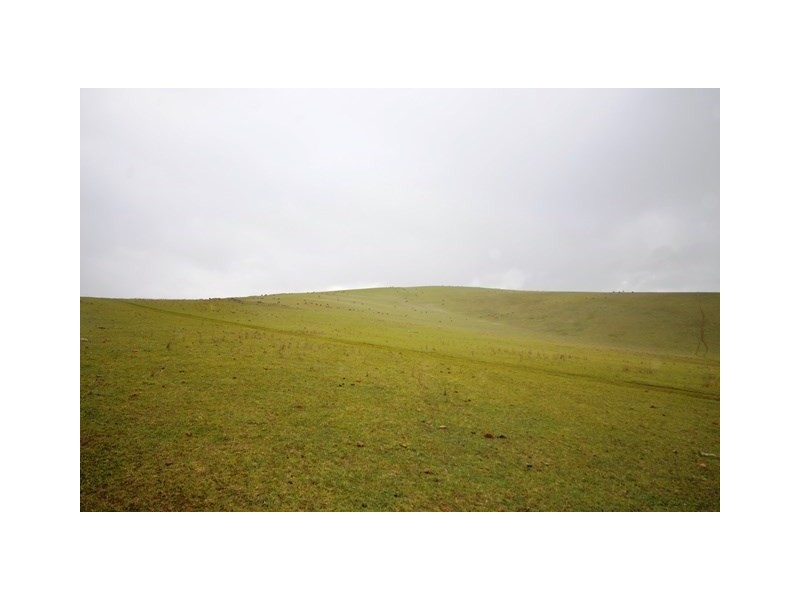 “Pfitzners” Range Road, Eudunda SA 5374