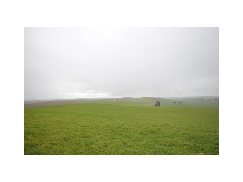 “Pfitzners” Range Road, Eudunda SA 5374