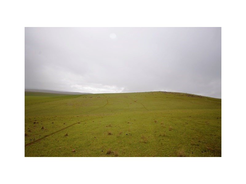 “Pfitzners” Range Road, Eudunda SA 5374