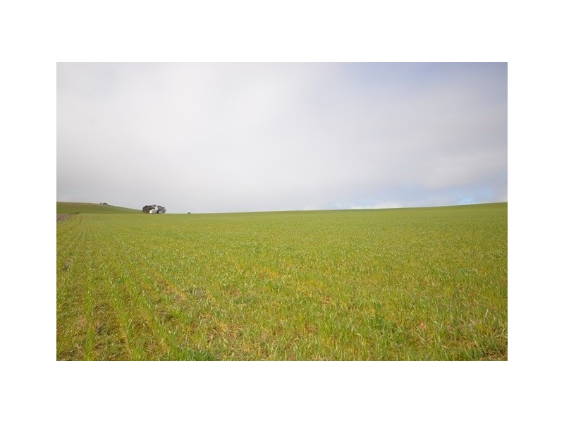 “Pfitzners” Range Road, Eudunda SA 5374