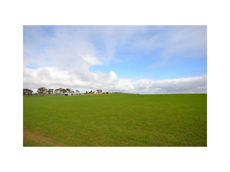 “Pfitzners” Range Road, Eudunda SA 5374