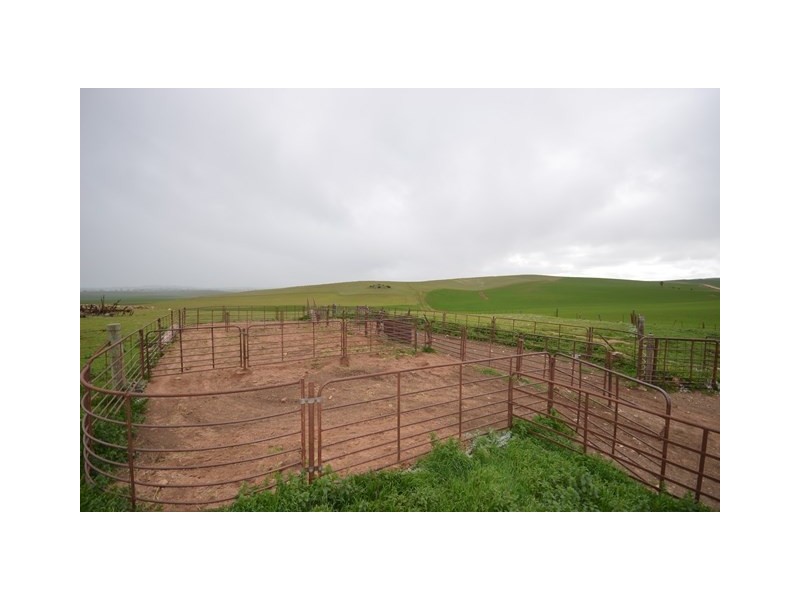 “Pfitzners” Range Road, Eudunda SA 5374