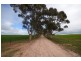 “Pfitzners” Range Road, Eudunda SA 5374