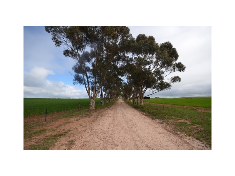 “Pfitzners” Range Road, Eudunda SA 5374