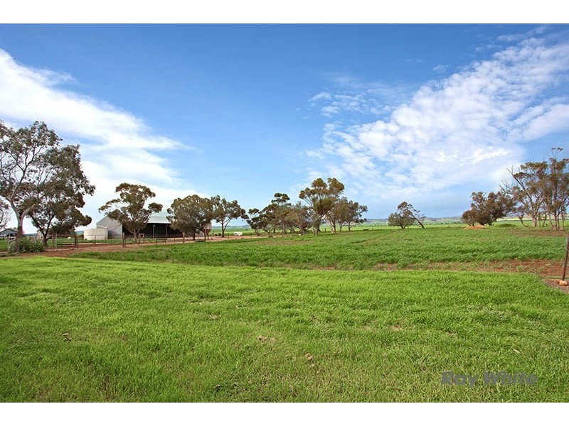 323 Longmire Road, Kybunga SA 5453