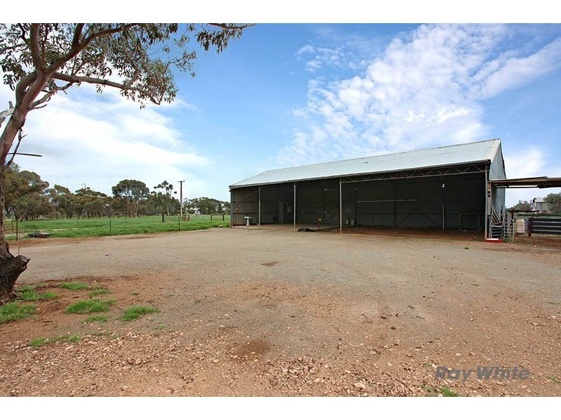 323 Longmire Road, Kybunga SA 5453