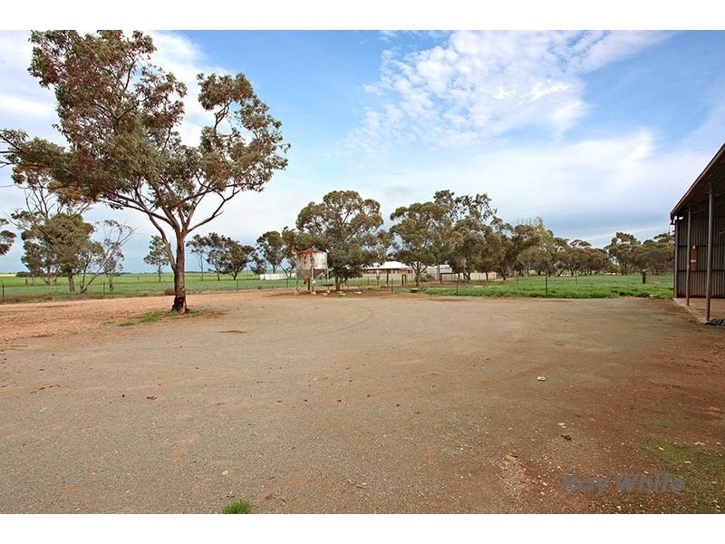 323 Longmire Road, Kybunga SA 5453