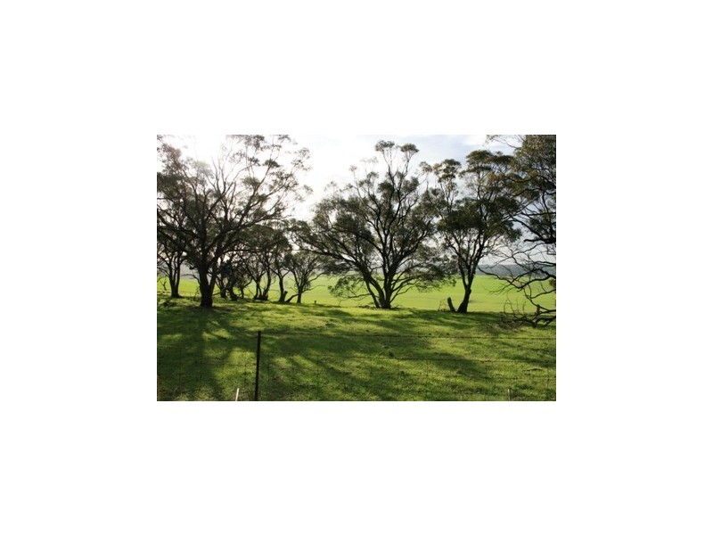 Lot 545 Government Road, Auburn SA 5451