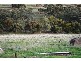 Lot 545 Government Road, Auburn SA 5451