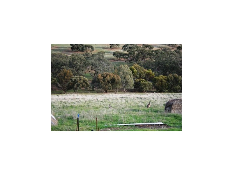 Lot 545 Government Road, Auburn SA 5451