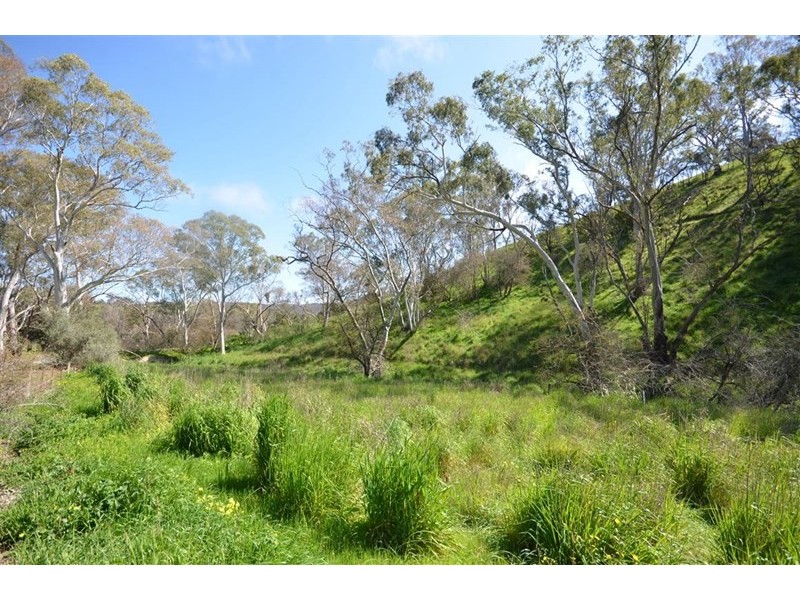 Lot 4 Campbell Road, Penwortham SA 5453