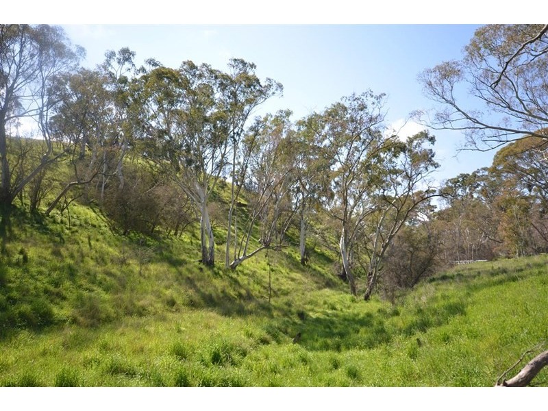 Lot 4 Campbell Road, Penwortham SA 5453