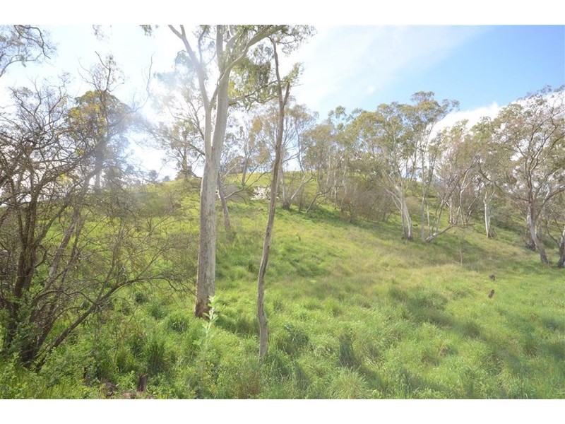 Lot 4 Campbell Road, Penwortham SA 5453
