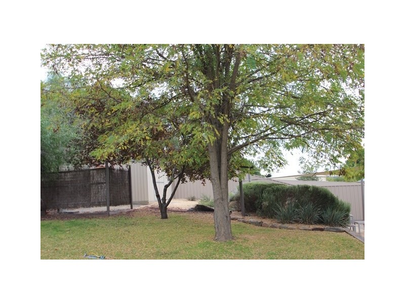 1 Bright Street, Clare SA 5453