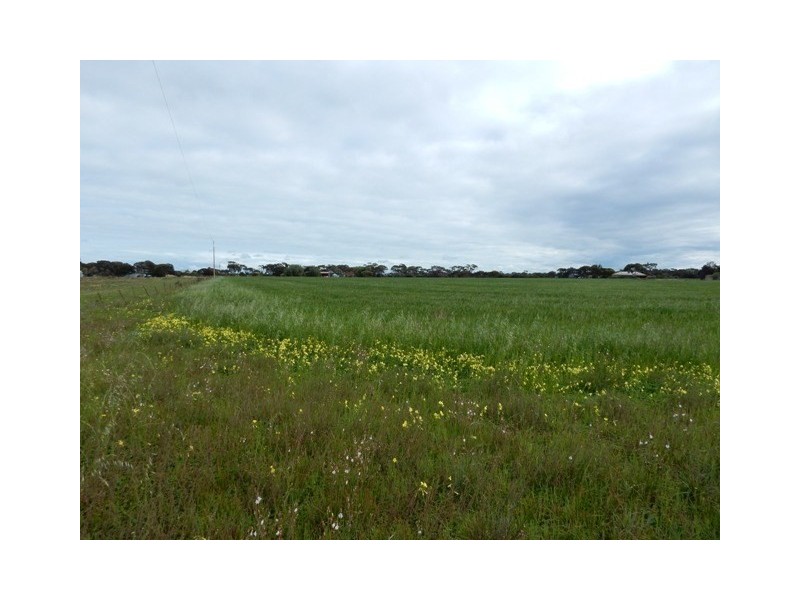 Lot 64 Mary Street, Price SA 5570