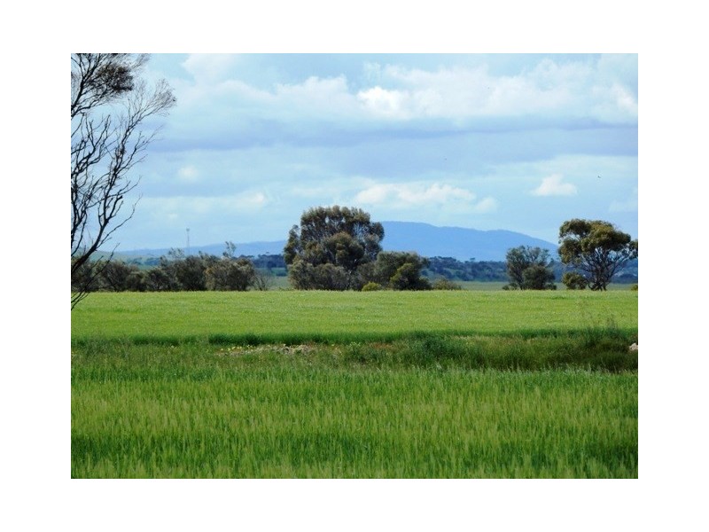 Lot 64 Mary Street, Price SA 5570