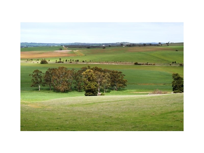 Lt 21 Hean Road, Auburn SA 5451