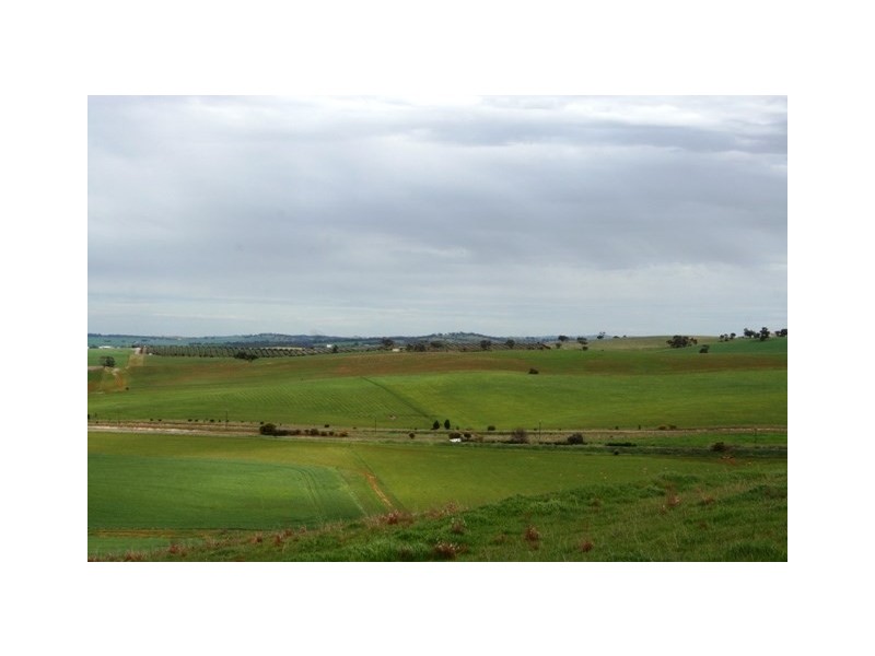 Lt 21 Hean Road, Auburn SA 5451