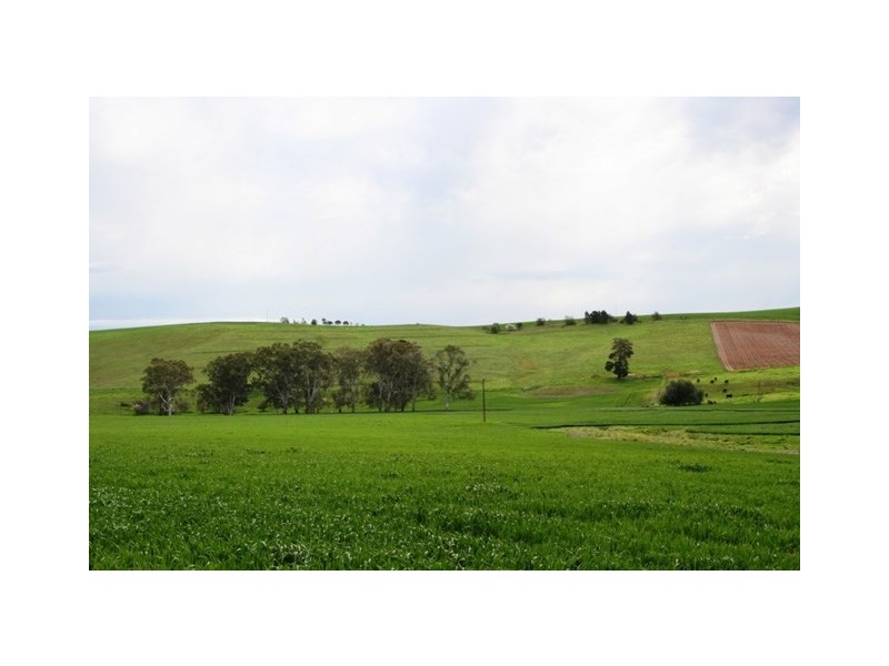 Lt 21 Hean Road, Auburn SA 5451