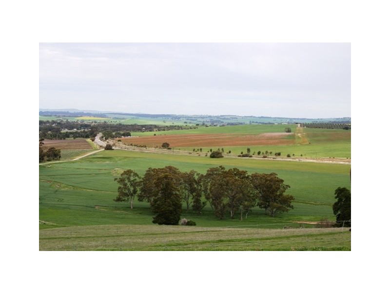 Lt 21 Hean Road, Auburn SA 5451