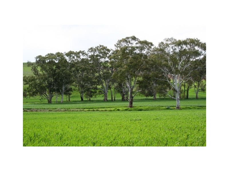 Lt 21 Hean Road, Auburn SA 5451