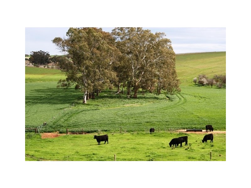 Lt 21 Hean Road, Auburn SA 5451