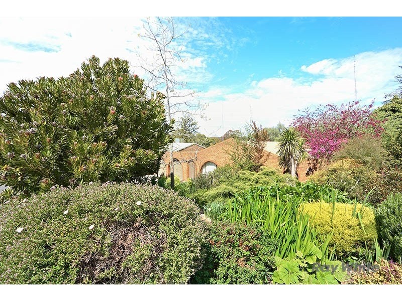 6 Tilbrook Avenue, Clare SA 5453