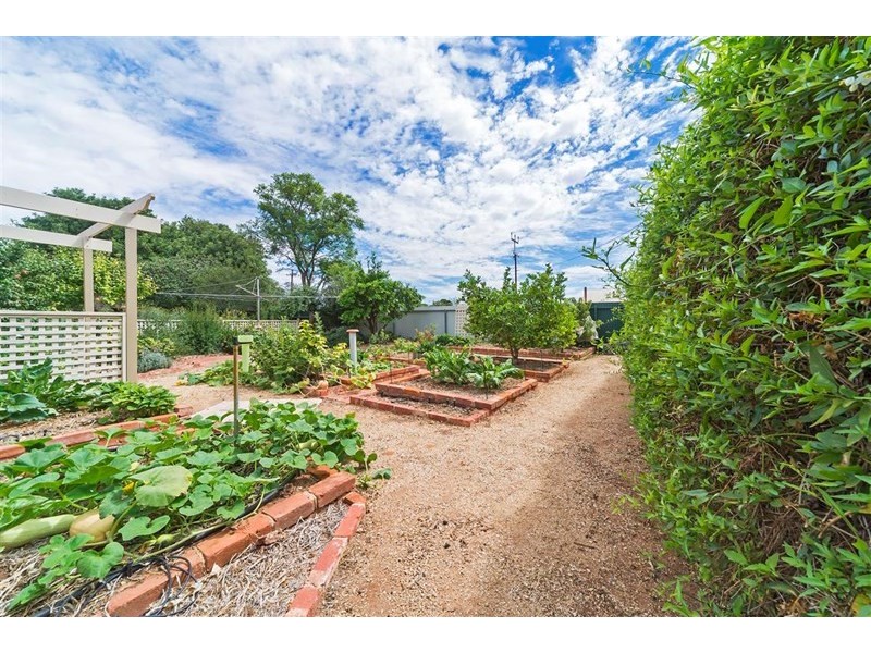 36 Wallace Street, Balaklava SA 5461