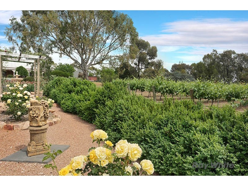 14 South Terrace, Leasingham SA 5452