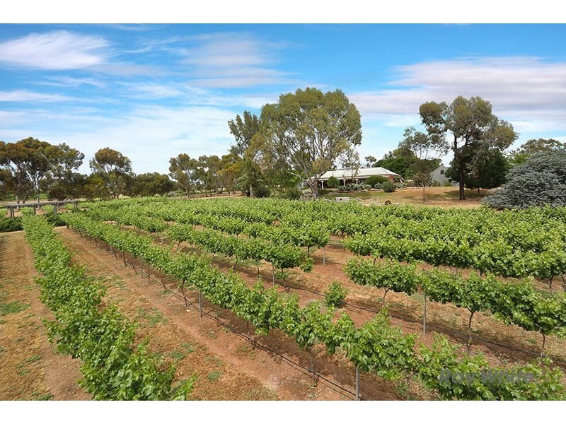 14 South Terrace, Leasingham SA 5452