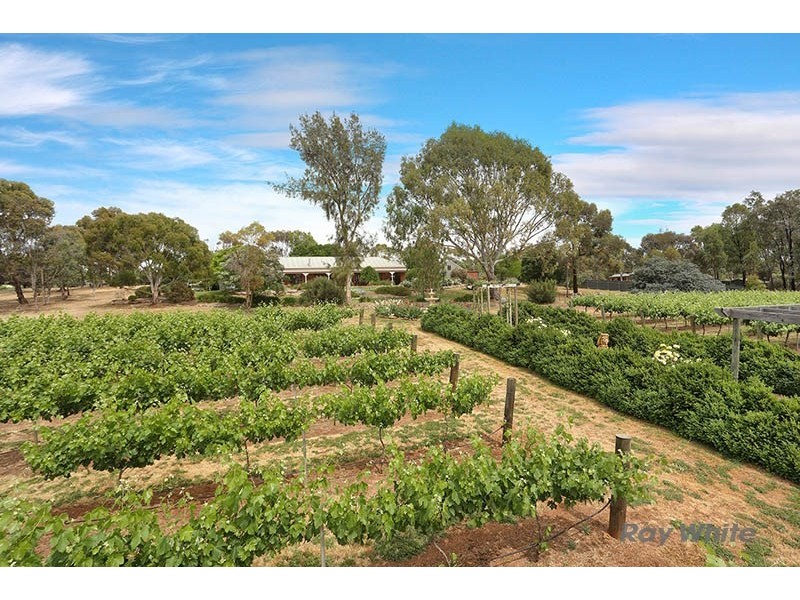 14 South Terrace, Leasingham SA 5452