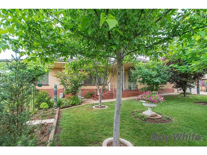 24 Daly Street, Clare SA 5453