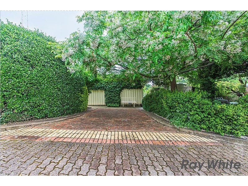 24 Daly Street, Clare SA 5453