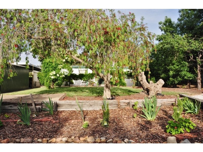 20 Geddes Avenue, Clare SA 5453
