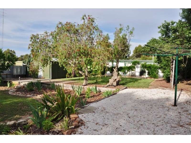 20 Geddes Avenue, Clare SA 5453