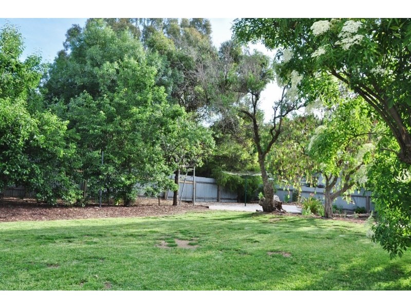 20 Geddes Avenue, Clare SA 5453