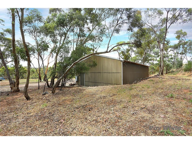 15 Vanga Avenue, Clare SA 5453