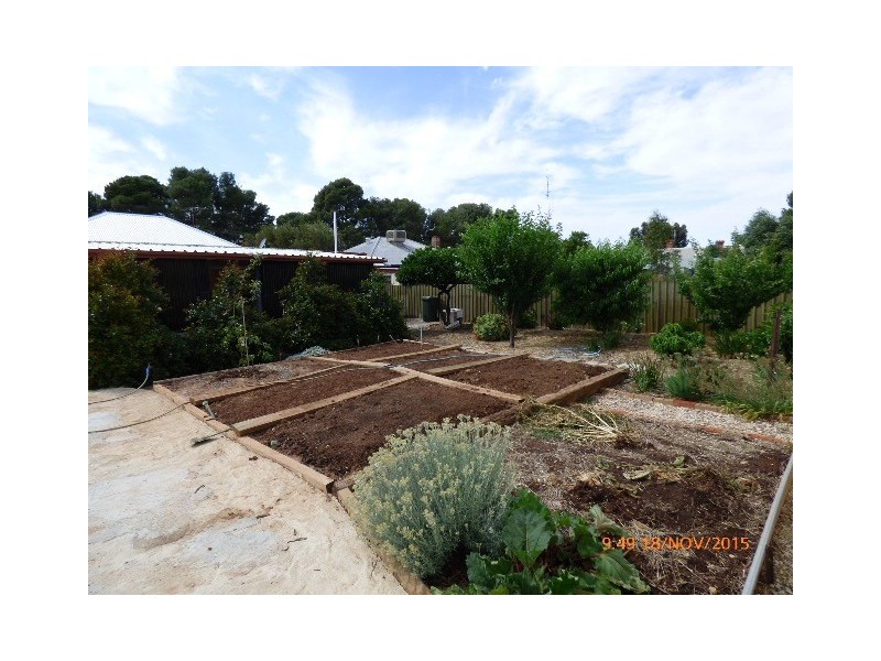 59 Railway West Terrace, Snowtown SA 5520