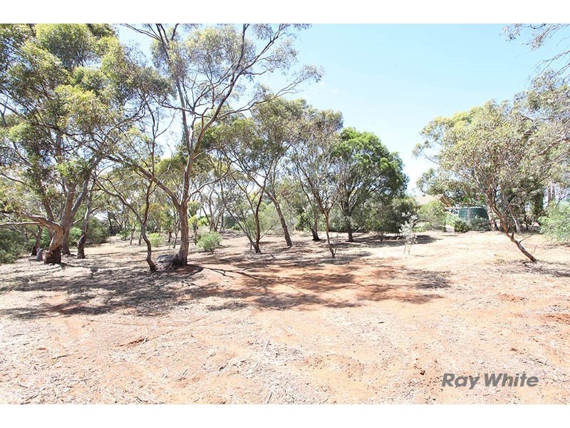 Lot 1 West Street, Auburn SA 5451