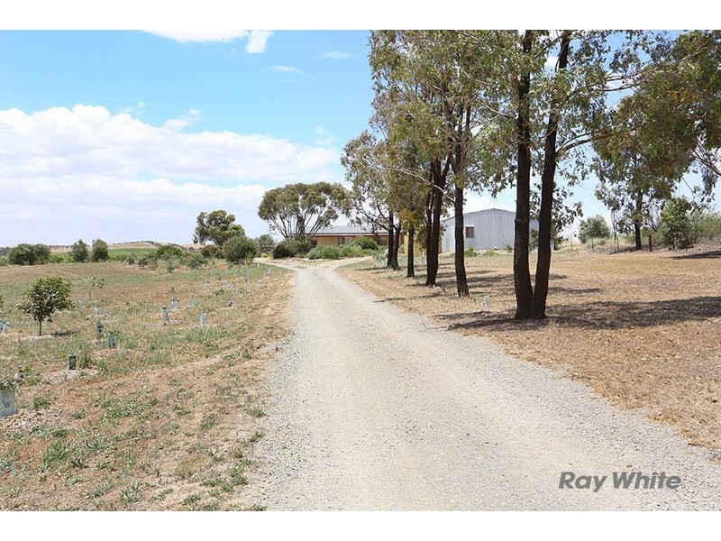 57 West Terrace, Leasingham SA 5452