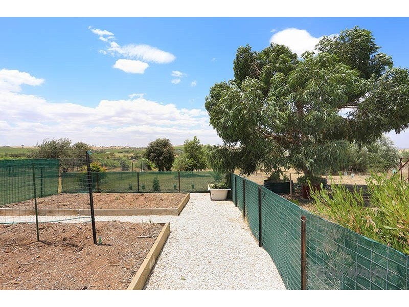 57 West Terrace, Leasingham SA 5452